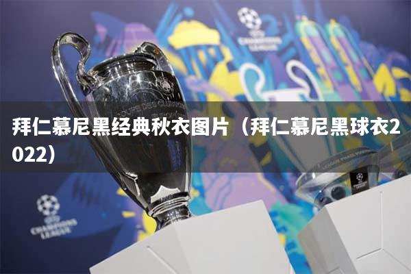 拜仁慕尼黑经典秋衣图片（拜仁慕尼黑球衣2022）