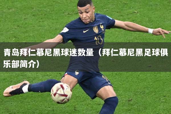 青岛拜仁慕尼黑球迷数量（拜仁慕尼黑足球俱乐部简介）